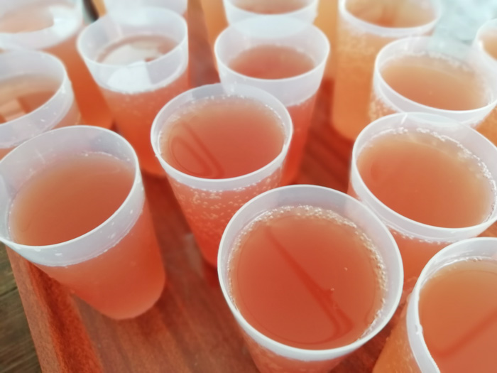 Gobelets de vin nouveau lors d’une précédente édition de la Fête du vin nouveau à Eguisheim