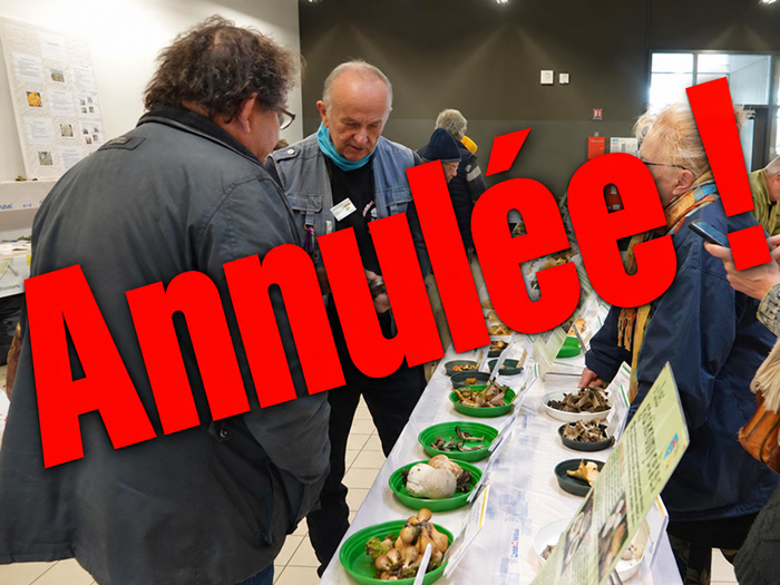 Exposition 2025 de la SMHR à Lutterbach avec la mention Annulée en rouge