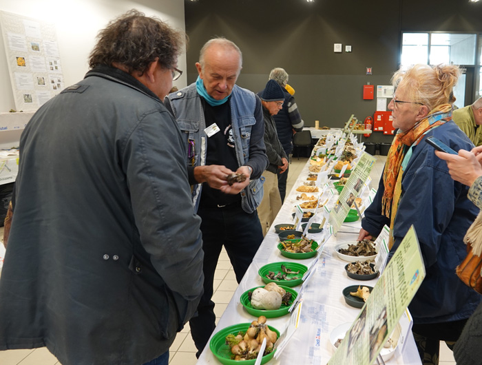 Bernard Diss lors de l’exposition de champignons de la SMHR à Lutterbach