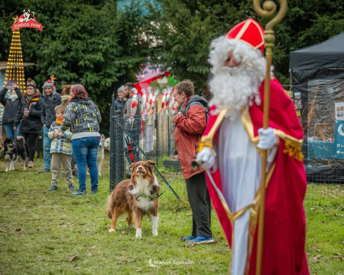 Photographie du marché de Noël du Sundog Park à Durmenach lors d’une précédente édition